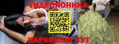 прущие грибы Жуковский