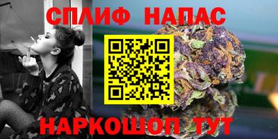 прущие грибы Жуковский