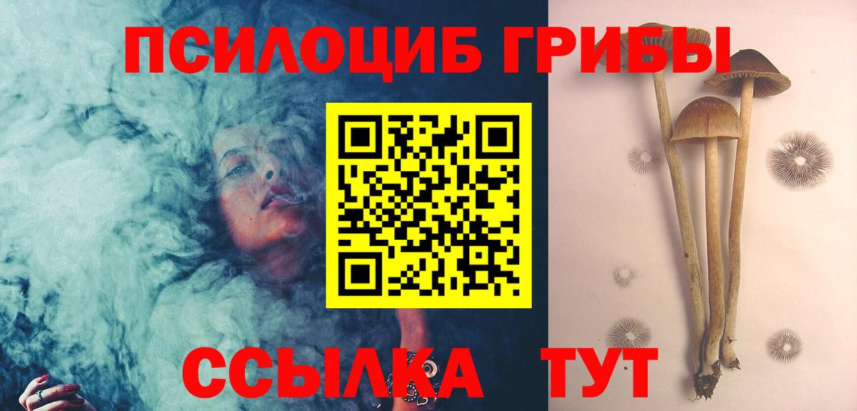 Галлюциногенные грибы Cubensis Лесосибирск