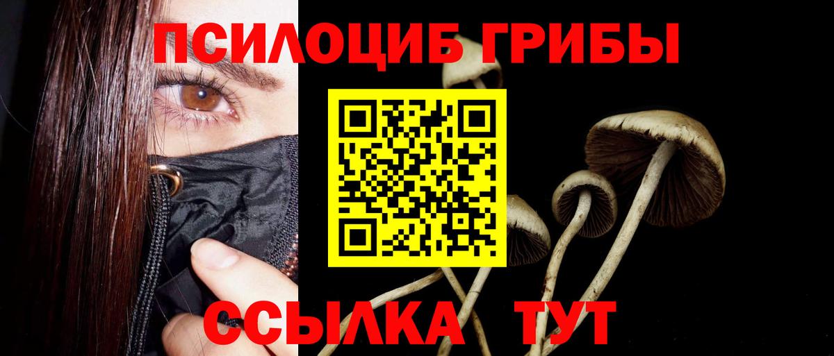 Псилоцибиновые грибы Cubensis  Вход с VPN  Лесосибирск 